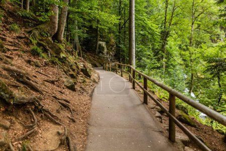 Téléchargez les photos : Chemin à Triberg Cascades dans la région de la Forêt Noire à, Bade-Wurtemberg, Allemagne - en image libre de droit