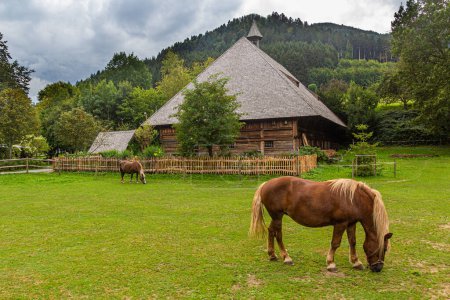 Foto de Caballos y casa rural en la Selva Negra Museo al Aire Libre en el pueblo de Gutach en Baden-Wuerttemberg, Alemania - Imagen libre de derechos