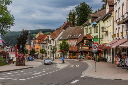 Téléchargez les photos : TRIBERG, ALLEMAGNE - 2 SEPTEMBRE 2019 : Vue du village de Triberg à Bade-Wurtemberg, Allemagne - en image libre de droit