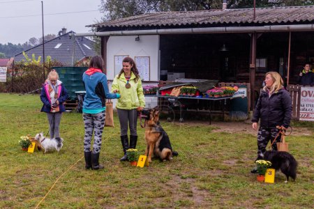 Photo for LYSA NAD LABEM, CZECH REPUBLIC - SEPTEMBER 28, 2020: Announcing of winners of agility competition in Lysa nad Labem, Czech Republic - Royalty Free Image