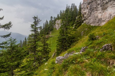 Téléchargez les photos : Paysage des montagnes de Nizke Tatry, Slovaquie - en image libre de droit