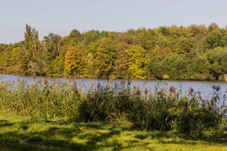 Foto de Mlynsky rybnik estanque cerca de la ciudad de Cesky Brod, República Checa - Imagen libre de derechos