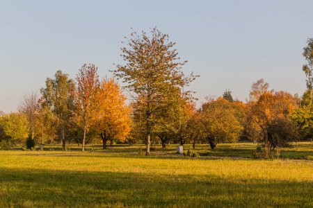 Téléchargez les photos : Vue d'un parc à Milovice, République tchèque - en image libre de droit