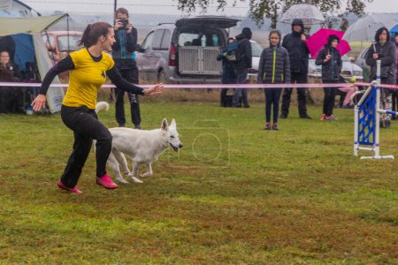 Photo for LYSA NAD LABEM, CZECH REPUBLIC - SEPTEMBER 28, 2020: Dog and a handler during agility competition in Lysa nad Labem, Czech Republic - Royalty Free Image
