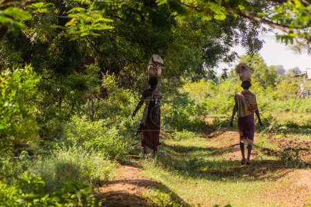 Téléchargez les photos : OMORATE, ÉTHIOPIE - 5 FÉVRIER 2020 : Femmes tribales Daasanach près de la rivière Omo, Éthiopie - en image libre de droit