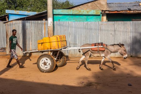 Téléchargez les photos : TURMI, ÉTHIOPIE - 3 FÉVRIER 2020 : Chariot à âne transportant de l'eau à Turmi, Éthiopie - en image libre de droit