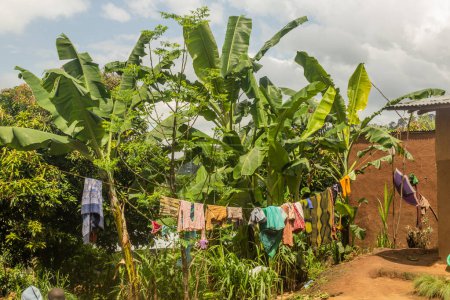 Photo for Laundry drying on a line in Jinka, Ethiopia - Royalty Free Image