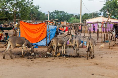 Téléchargez les photos : TURMI, ÉTHIOPIE - 4 FÉVRIER 2020 : Des ânes sur un marché à Turmi, Éthiopie - en image libre de droit