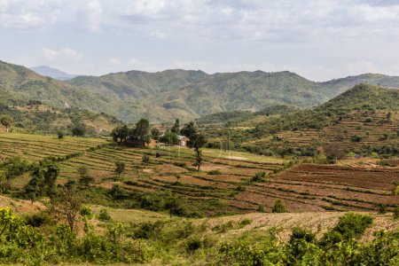 Téléchargez les photos : Champs en terrasses du paysage Konso, Ethiopie - en image libre de droit