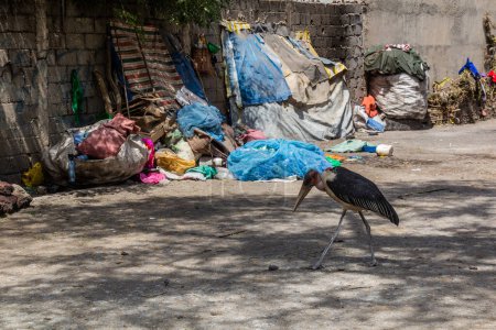 Foto de Refugios para personas sin hogar y una cigüeña marabú en Hawassa, Etiopía - Imagen libre de derechos
