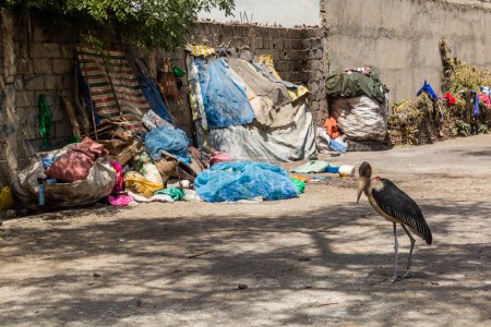 Foto de Refugios para personas sin hogar y una cigüeña marabú en Hawassa, Etiopía - Imagen libre de derechos