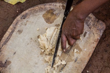 Téléchargez les photos : Dorze femme prépare la pâte pour le pain kocho en enset (fausse banane), source importante de nourriture, Ethiopie - en image libre de droit