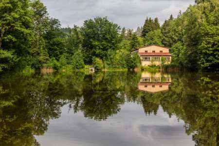 Foto de Grieseluv rybnik estanque cerca de Jetrichovice, República Checa - Imagen libre de derechos