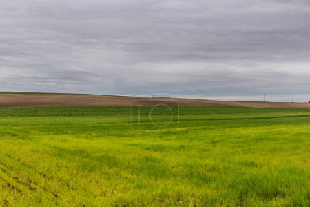 Photo for Green landscape near Lysa nad Labem, Czech Republic - Royalty Free Image