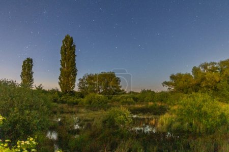 Foto de Vista nocturna del pantano de Zabak cerca de Lysa nad Labem, República Checa - Imagen libre de derechos