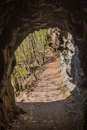 Foto de Sendero con un túnel en el valle del río Jizera cerca de Semily, parte del sendero Riegrova stezka, Chequia - Imagen libre de derechos
