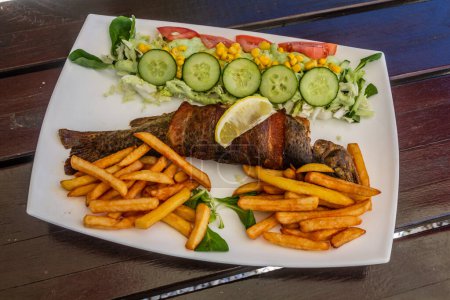 Photo for Plate of grilled trout with fries and salad in a restaurant in Kamienczyk village, Poland - Royalty Free Image