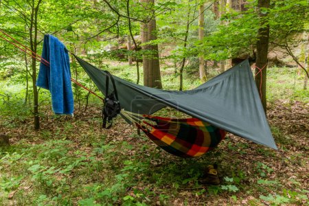 Téléchargez les photos : Hamac suspendu dans une forêt en République tchèque - en image libre de droit