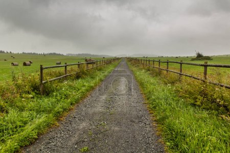 Téléchargez les photos : Sentier dans les pâturages près du point le plus méridional de la République tchèque - en image libre de droit