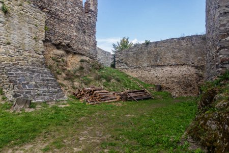 Téléchargez les photos : Ruine du château de Dobronice, République tchèque - en image libre de droit