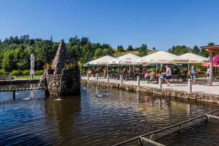 Téléchargez les photos : KAMIENCZYK, POLOGNE - 14 JUILLET 2020 : Vue d'une écloserie et d'un restaurant dans le village de Kamienczyk, Pologne - en image libre de droit