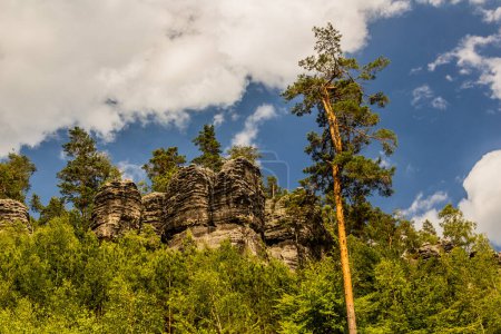 Photo for Rocks in the National Park Bohemian Switzerland, Czech Republic - Royalty Free Image