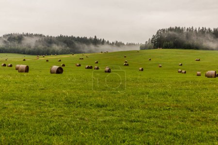 Photo for Meadows near the southernmost point of the Czech Republic - Royalty Free Image