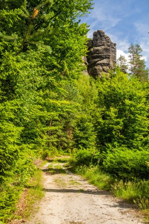 Téléchargez les photos : Chemin dans le parc national Bohème Suisse, République tchèque - en image libre de droit