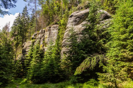 Foto de Rocas en un bosque en el Parque Nacional de Bohemia Suiza, República Checa - Imagen libre de derechos