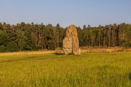 Foto de Czech Stonehenge en Holasovice village, República Checa - Imagen libre de derechos