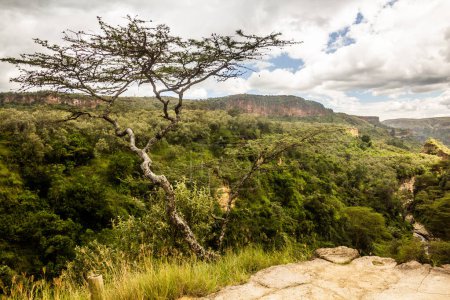 Photo for Gorge in the Hell's Gate National Park, Kenya - Royalty Free Image