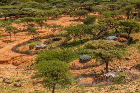 Photo for Samburu tribe village near South Horr, Kenya - Royalty Free Image