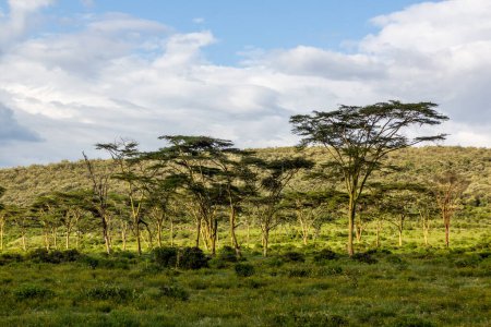 Foto de Parque Nacional Paisaje de la Puerta del Infierno, Kenia - Imagen libre de derechos