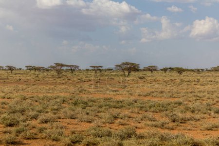 Foto de Paisaje cerca de Marsabit, Kenia - Imagen libre de derechos