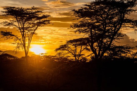 Foto de Puesta de sol en tierras Masai, Kenia - Imagen libre de derechos