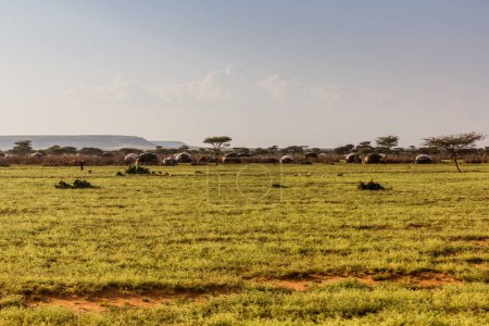 Foto de Pueblo cerca de Kargi en el norte de Kenia - Imagen libre de derechos