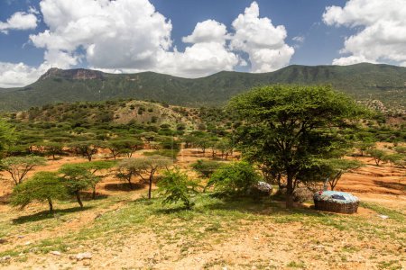 Photo for Samburu tribe huts near South Horr village, Kenya - Royalty Free Image