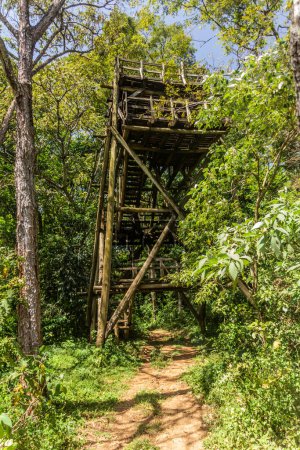 Tour d'observation en ruine dans la réserve forestière de Kakamega, Kenya