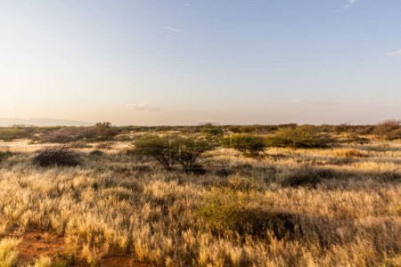 Photo for Landscape near Kargi in northern Kenya - Royalty Free Image