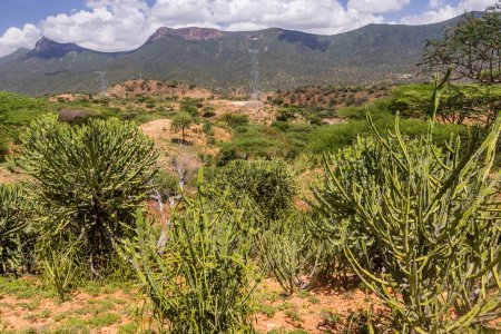 Foto de Paisaje cerca del pueblo de South Horr, Kenia - Imagen libre de derechos
