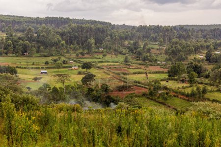 Foto de Paisaje rural cerca de Kericho, Kenia - Imagen libre de derechos