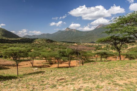 Photo for Landscape near South Horr village, Kenya - Royalty Free Image
