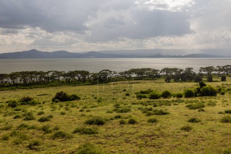 Téléchargez les photos : Vue du lac Naivasha depuis l'île de Crescent, au Kenya - en image libre de droit