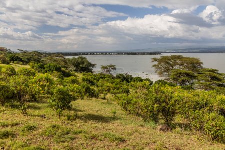 Blick auf das Crescent Island Game Sanctuary am Naivasha Lake, Kenia