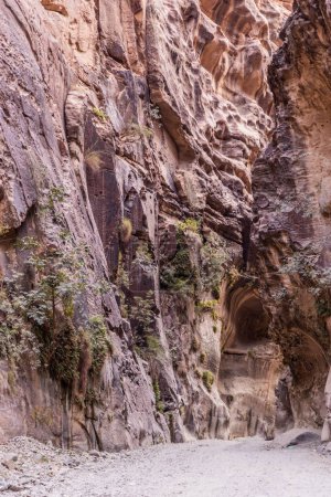 Pfad im Wadi Lajab Canyon, Saudi Arabien