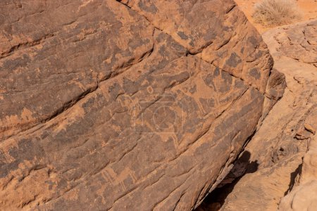 Photo for Rock art (petroglyphs) in Jubbah, Saudi Arabia - Royalty Free Image