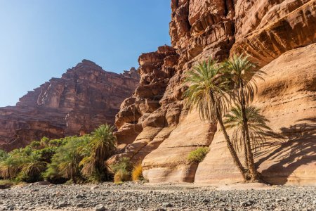 Téléchargez les photos : Vue du canyon de Wadi Disah, Arabie Saoudite - en image libre de droit