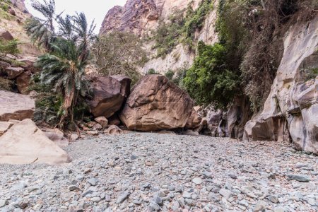 Téléchargez les photos : Gorge de Wadi Lajab, Arabie Saoudite - en image libre de droit