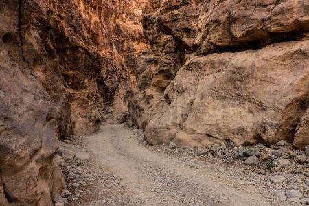 Chemin dans la gorge de Wadi Lajab, Arabie Saoudite