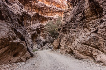 Pfad in der Schlucht des Wadi Lajab, Saudi-Arabien